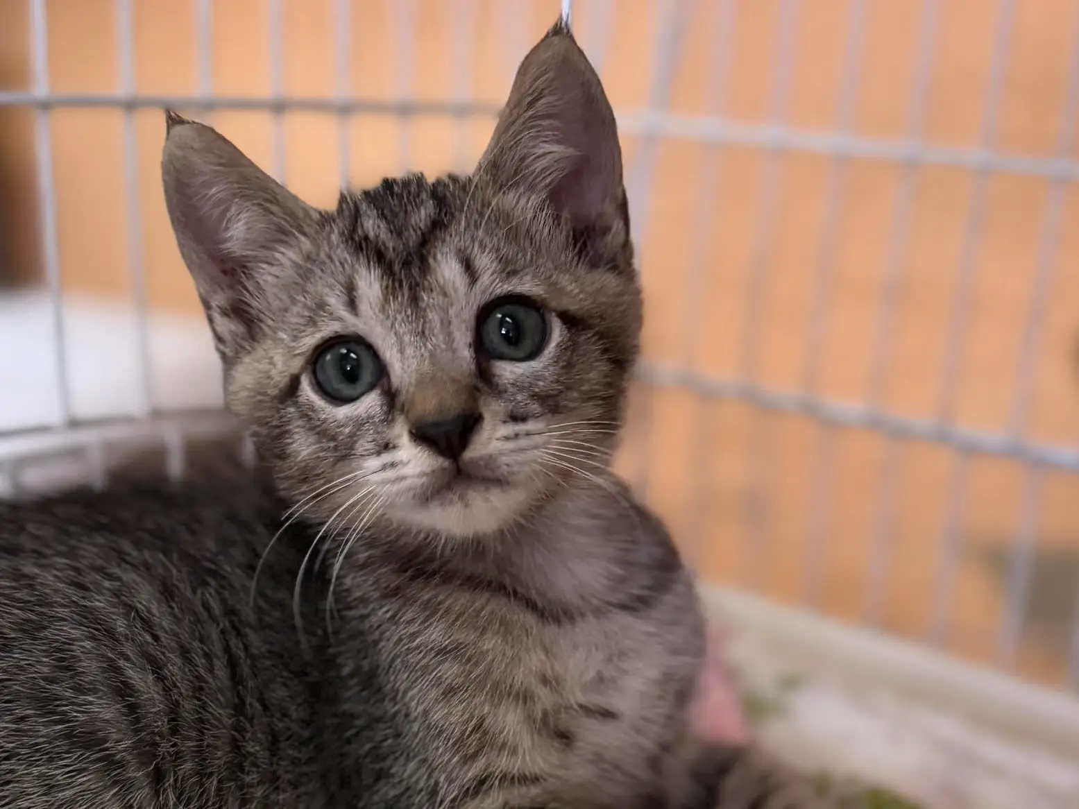 1f10dc7f 88cc 4329 ad66 6b5736799b0d 1 201 a