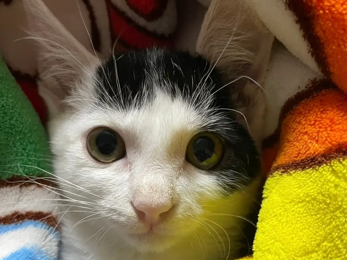 7ecc8fe7 0a67 456a 8048 09715b89b5fb 1 201 a