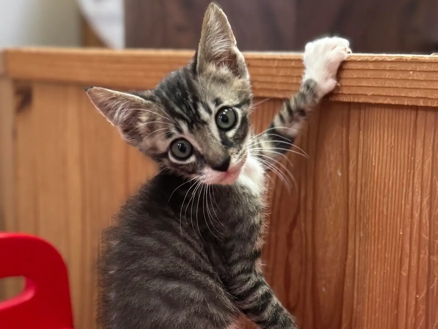 95ce86ba d1ea 4a94 89da 967b1f24bb9a 1 201 a