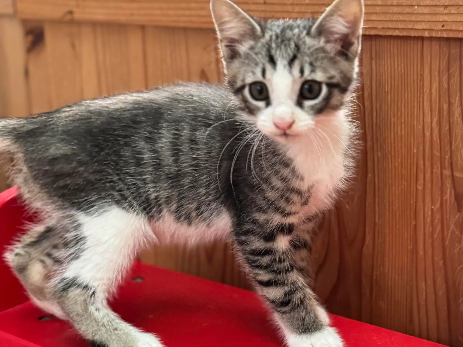 bba6a4c5 e601 4cfa a8b9 27a000d4f773 1 201 a