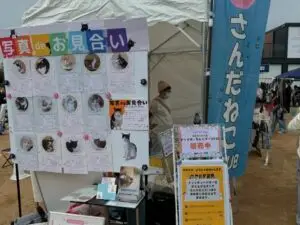 ボランティア募集 f6280985 6a70 44df 9337 2d14d5c4854d 1 201 a