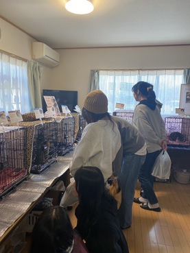 18a2f74d 4adf 4fa3 9ecb aebe2accc64d