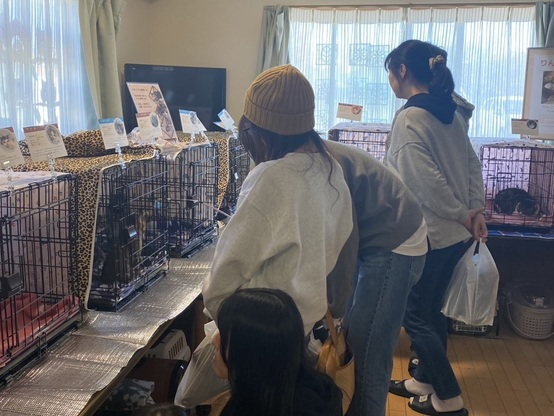 18a2f74d 4adf 4fa3 9ecb aebe2accc64d 1 201 a