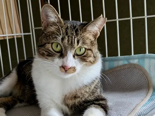 1dfb0739 383d 4c3b 9cdd 0129b0df25bb 1 201 a