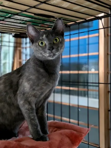 422a7bbf fbf1 475e 9079 111fd6c55766 1 201 a (1)