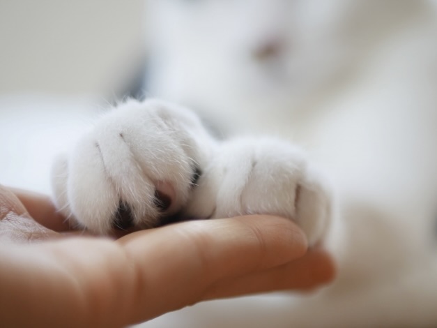 6f4524ca d4b1 44f6 990f 97d5760911b3 1 201 a