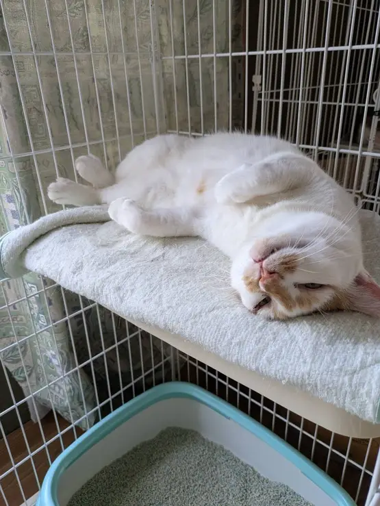 84d6a645 054e 40e9 86dd af3937002147