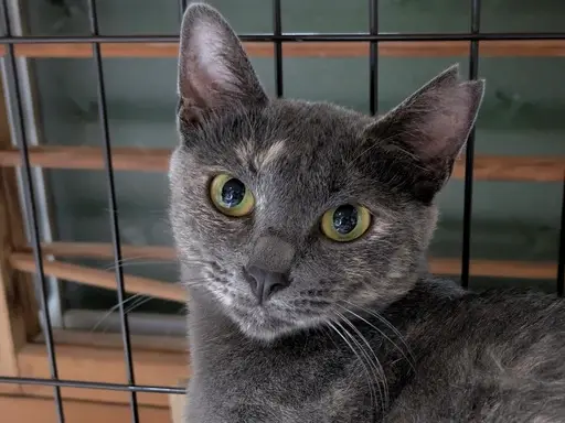 af16f284 2a23 4879 8f49 5fae550d1ae0 1 105 c