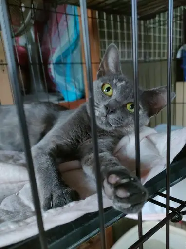 b888b3a4 8a95 4d21 9575 4c3e685e0fd7 1 201 a (1)