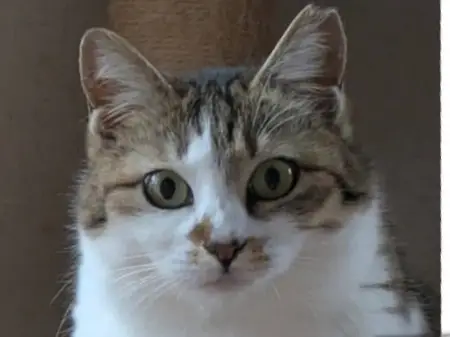 d6bef6f2 6456 488d a3f3 93ab871a49d1 4 5005 c