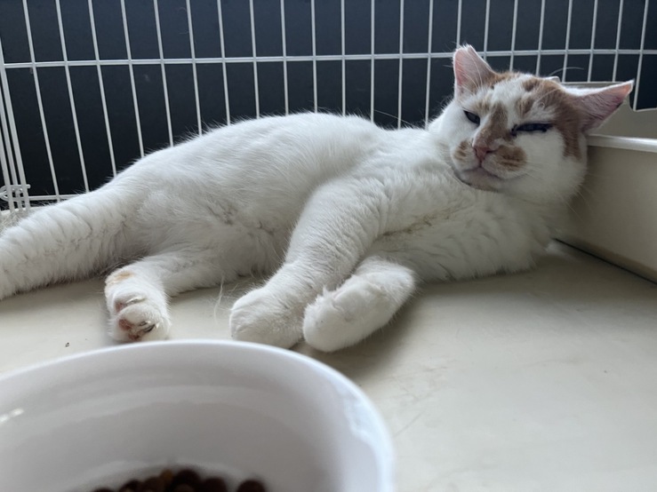 やすよ img 1601 (1)