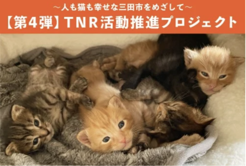 第４弾三田市TNR活動推進プロジェクト
