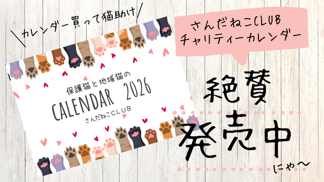 ２０２６年カレンダー発売中