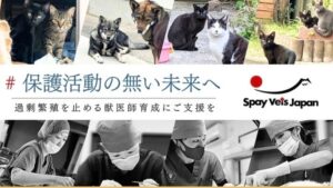 934d02b0 dc11 46ec bdb7 dcc547cef621 1 201 a 2