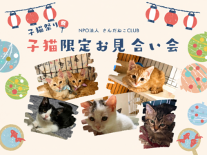 2026年8月15日 お見合い会開催