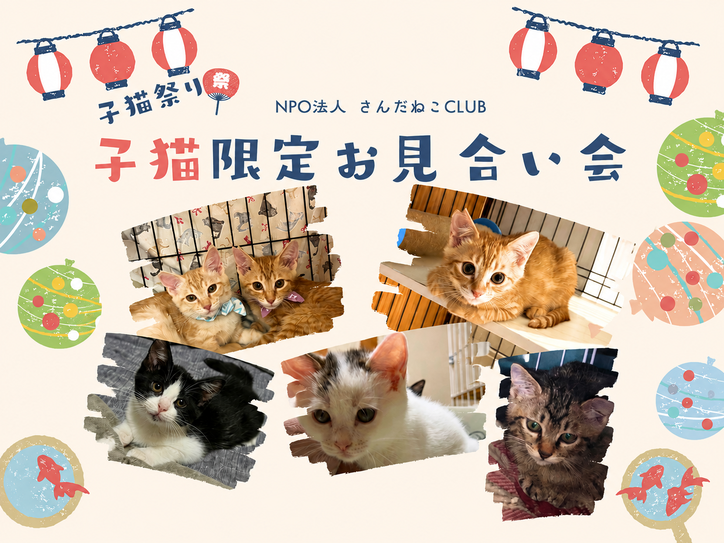 2026年8月15日 お見合い会開催